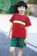 中小学生夏季校服定制 106